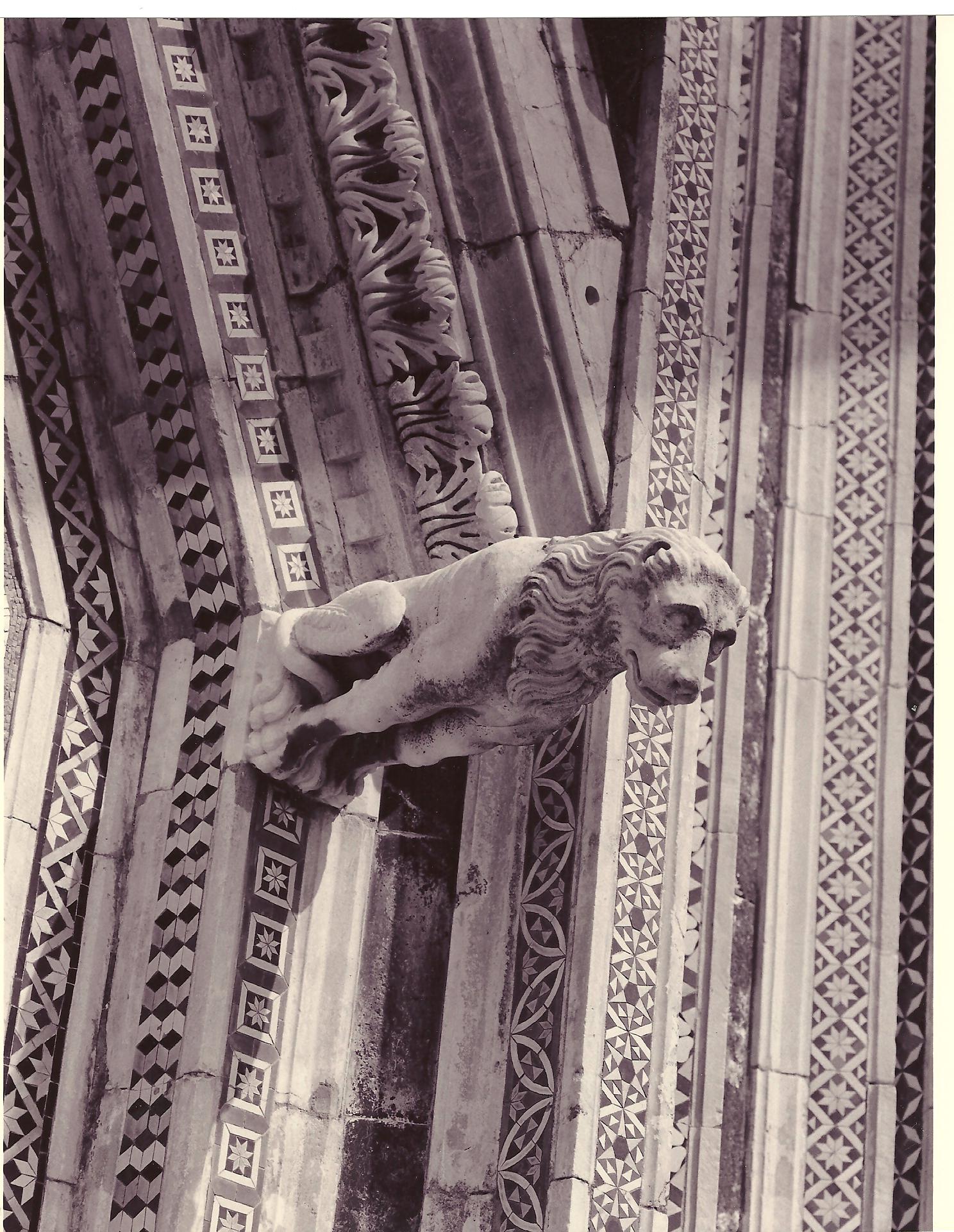 leone (scultura - doccione, complesso decorativo) - ambito Italia centrale (fine/ inizio XVIII-XIX)