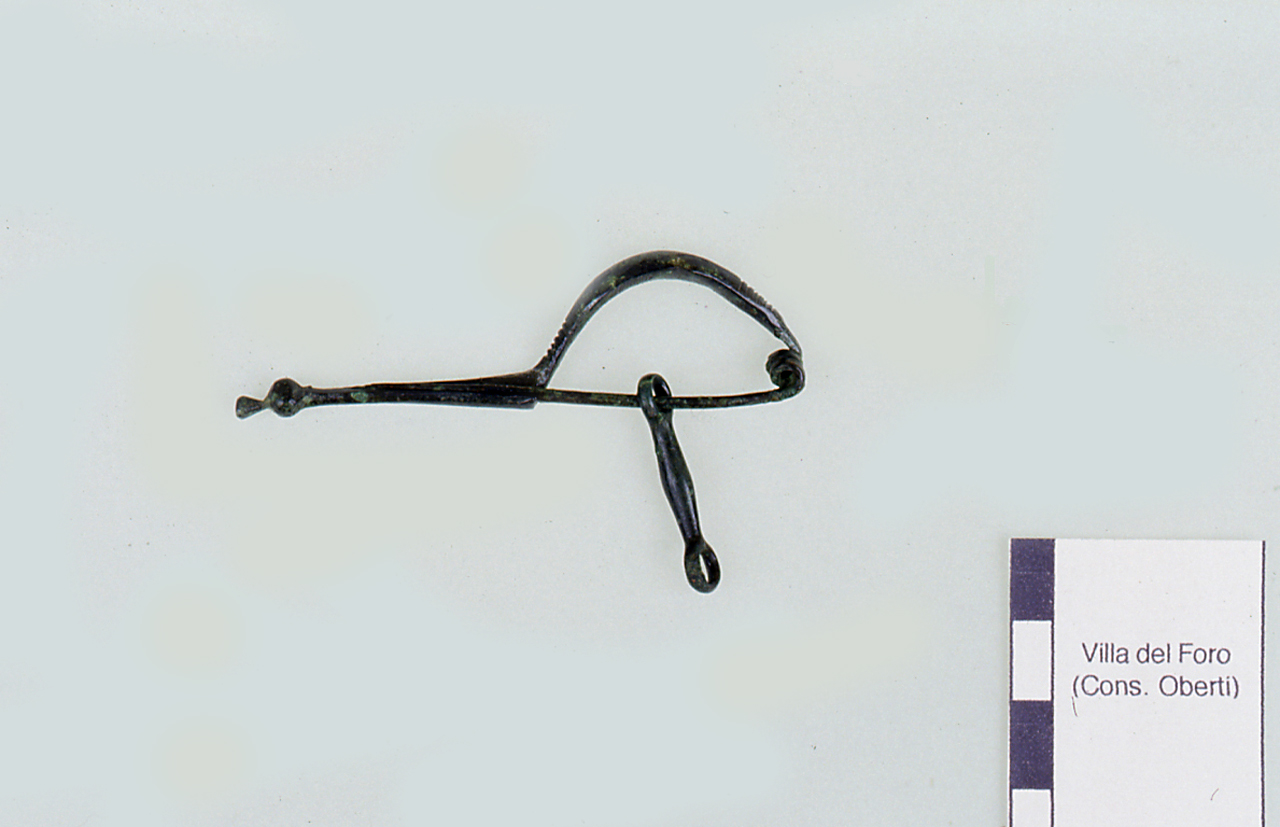 fibula, ad arco biconvesso - cultura ligure dell'età del Ferro (media età del Ferro)