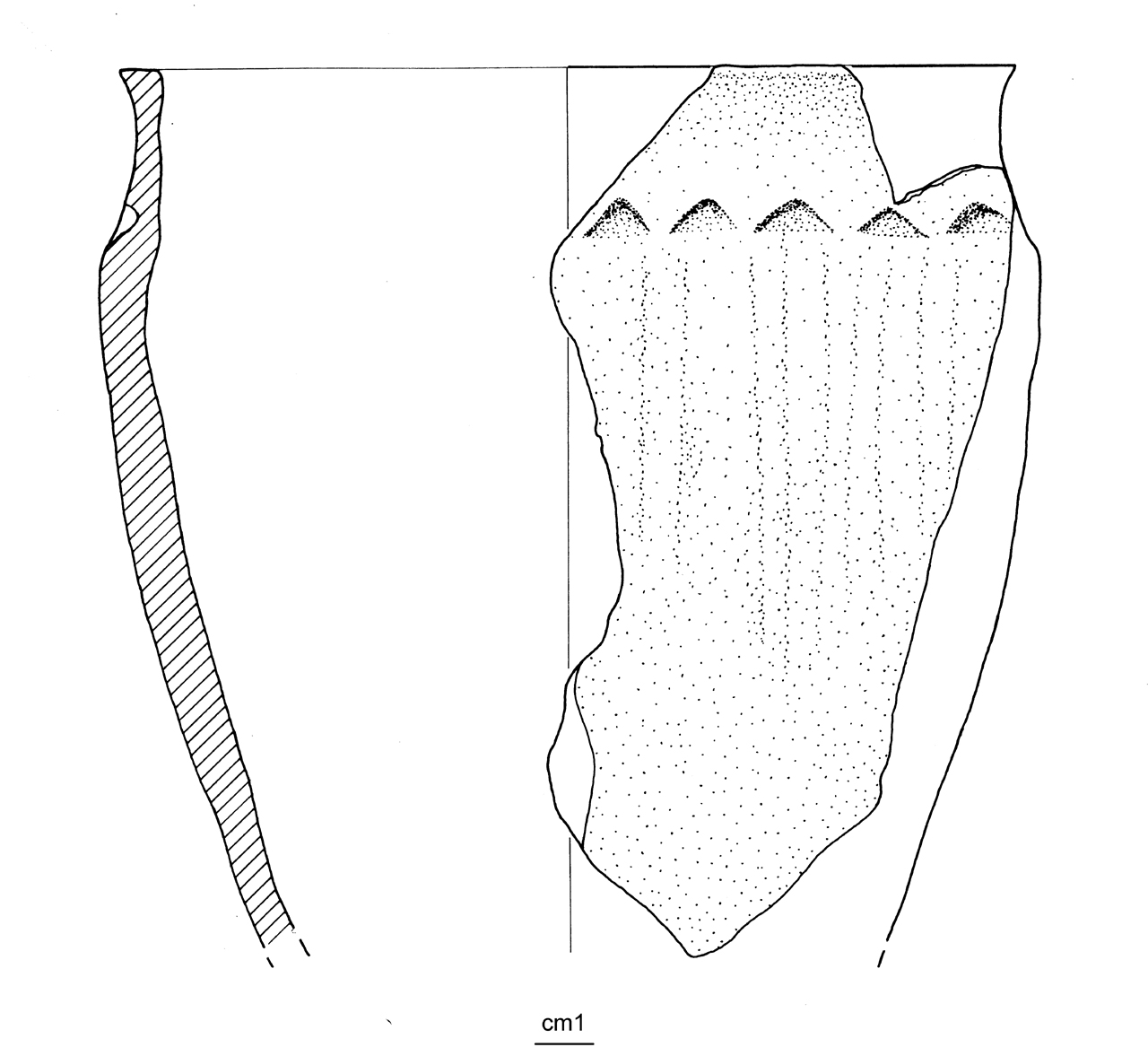 vaso situliforme - Ligure II - Ligure III (media età del Ferro)