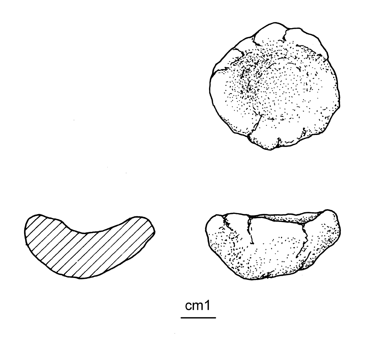 vaso miniaturizzato - cultura ligure dell'età del Ferro (media età del Ferro)