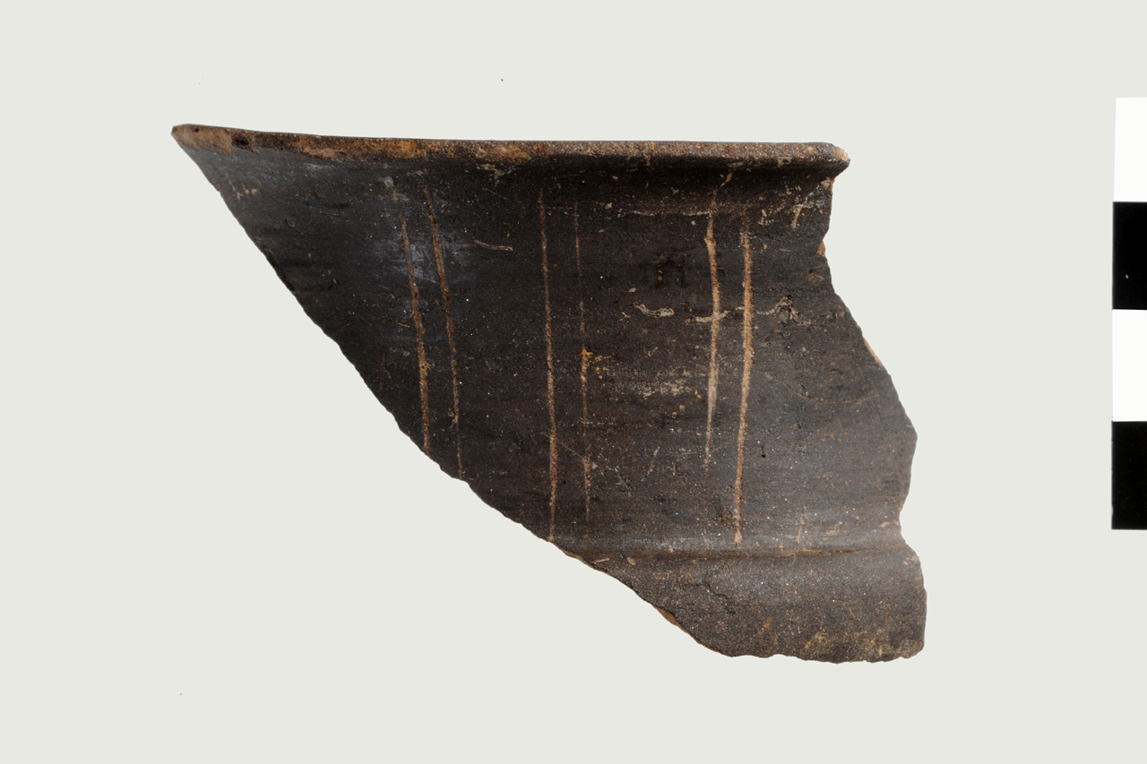 bicchiere carenato - cultura ligure dell'età del Ferro (media età del Ferro)