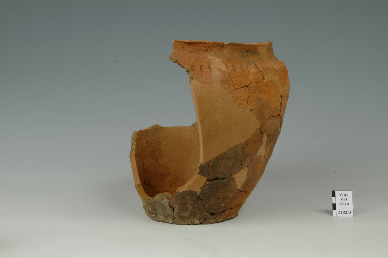 vaso situliforme - cultura ligure dell'età del Ferro (Eta' del ferro)