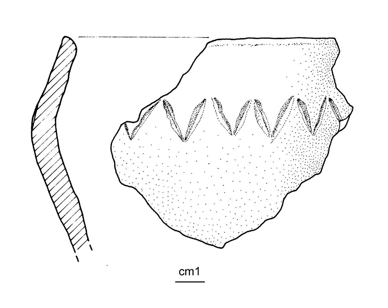 vaso situliforme - cultura ligure dell'età del Ferro (inizio/ metà VI-V a.C)