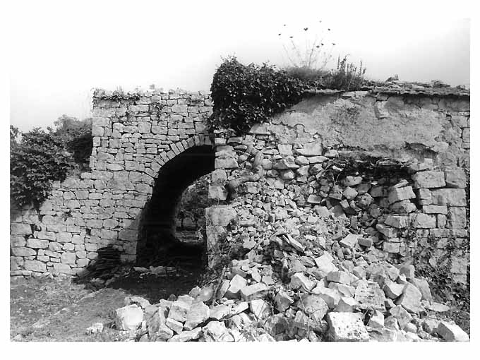 PALMENTO detto "DI SCIUANNEDD", in CONTRADA (n1) (palmento) - Castellana Grotte (BA) 