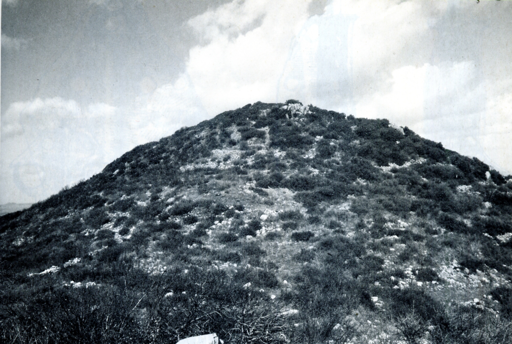 Monte sa idda (insediamento, villaggio nuragico)