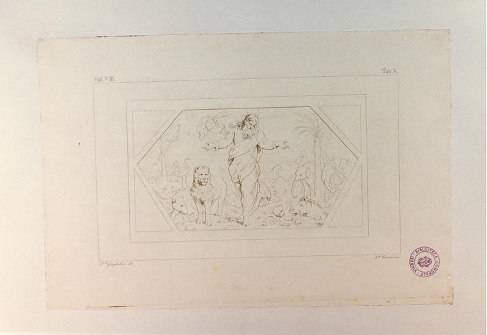 CREAZIONE DEGLI ANIMALI (stampa tagliata, serie) di Sanzio Raffaello, Ceroni Luigi, Guglielmi Paolo (sec. XIX)