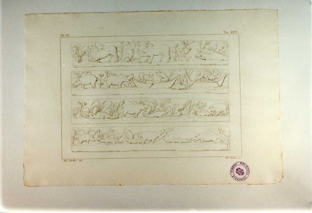 NILO: FREGI DEL BASAMENTO (stampa smarginata, serie) di Sirletti F, Apolloni Alessandro (sec. XIX)