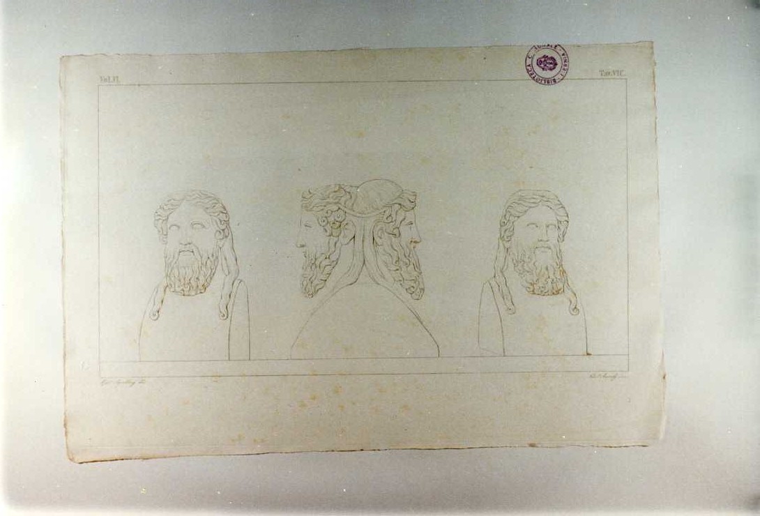 ERMA DOPPIA DI BACCO (stampa tagliata, serie) di Aureli Niccolò, Apolloni Girolamo (sec. XIX)
