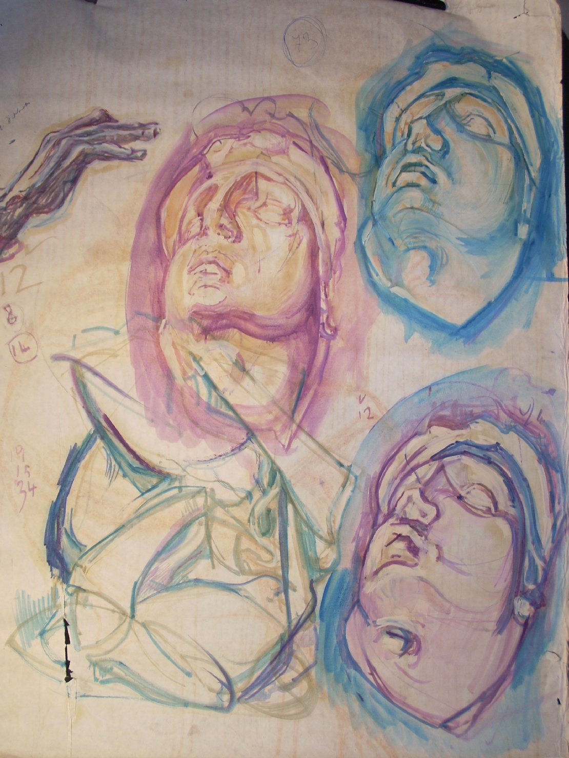 Studi di testa michelangiolesca, testa d'uomo (disegno) di Ciamarra Elena (sec. XX)
