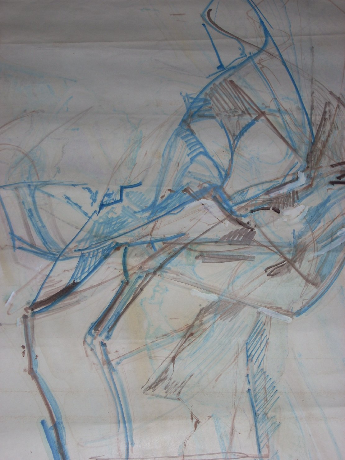 Studio di peghe in marrone e blu (disegno) di Ciamarra Elena (sec. XX)