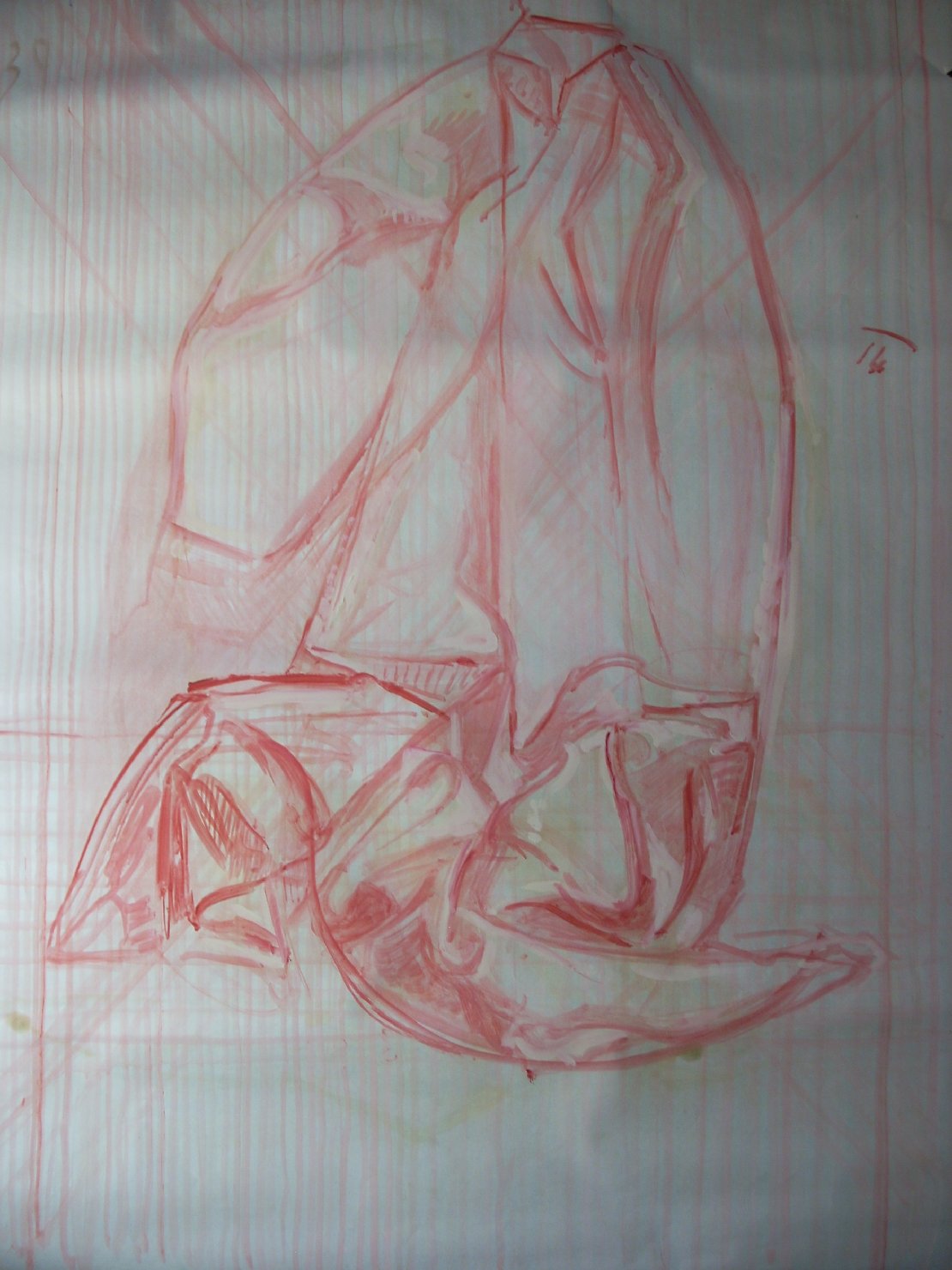 Studio di piega in rosa 1 (disegno) di Ciamarra Elena (sec. XX)
