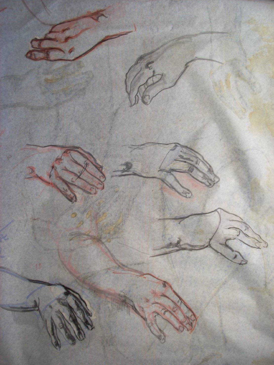 Sette mani in nero e rosso, studio di mani (disegno) di Ciamarra Elena (sec. XX)