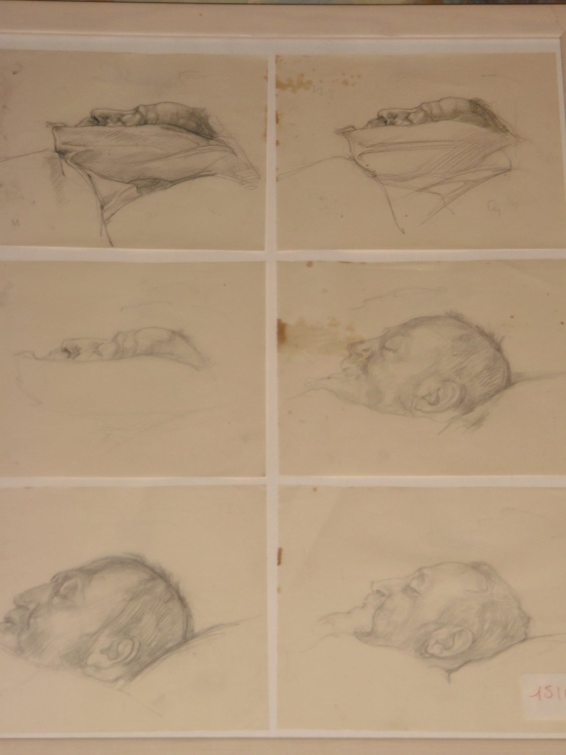 Sei ritratti del padre Giacinto sul suo letto di morte, ritratto d'uomo (disegno) di Ciamarra Elena (sec. XX)