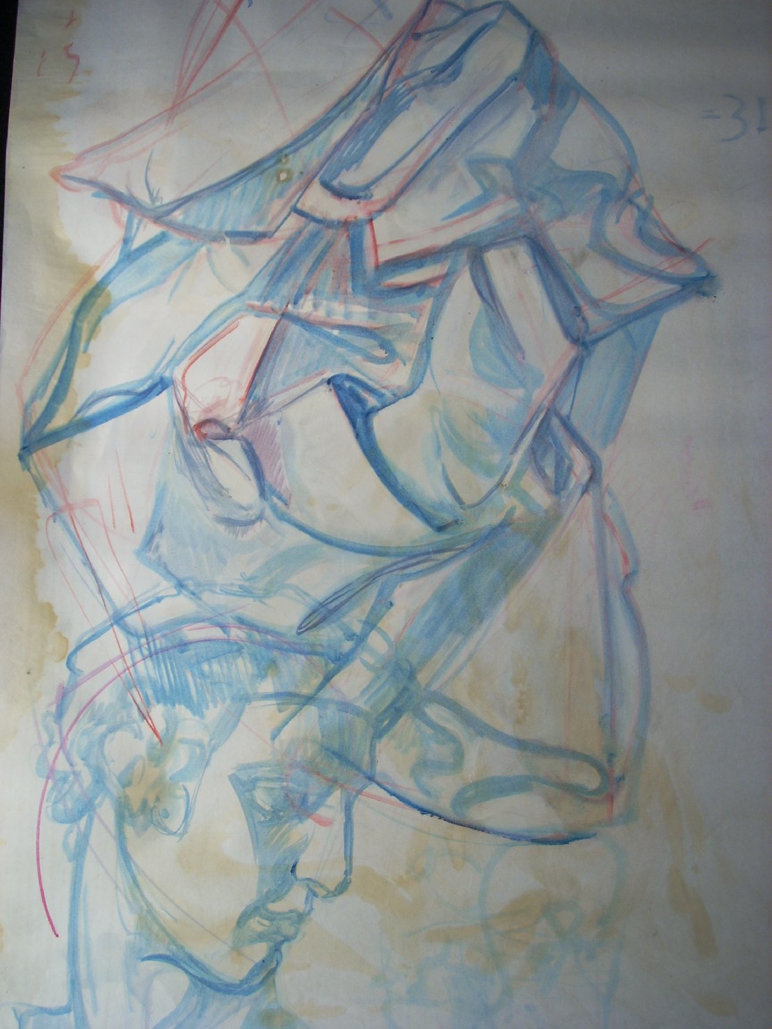 Piega e profilo di gesso maschile in blu (disegno) di Ciamarra Elena (sec. XX)