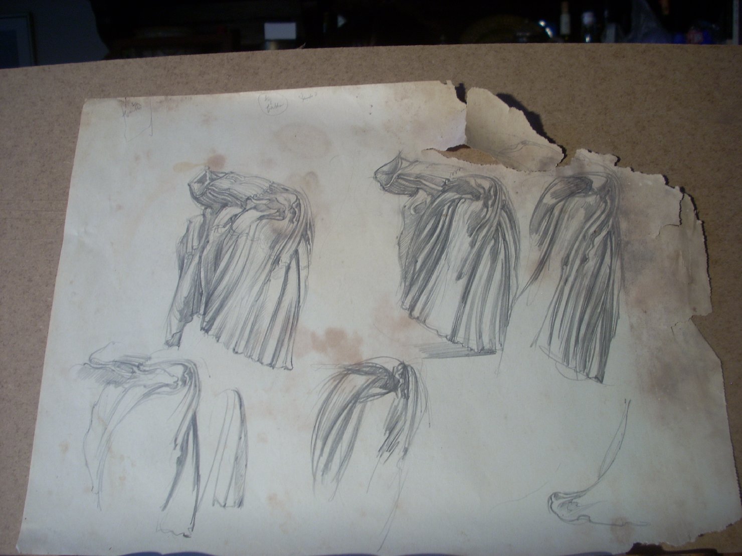 Cinque studi di pieghe (disegno) di Ciamarra Elena (sec. XX)