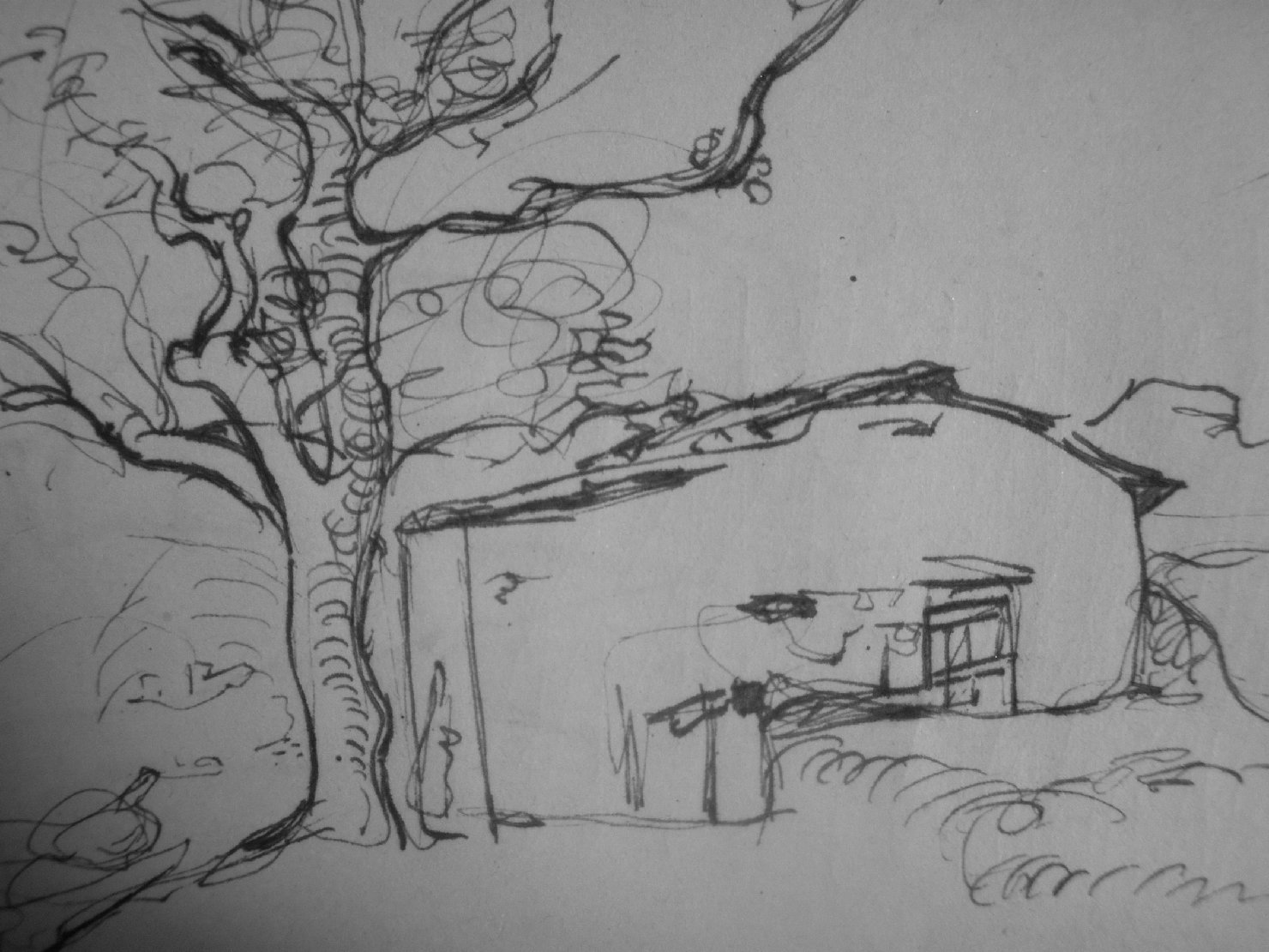 Schizzetto di casa molisana con albero, paesaggio con alberi (disegno) di Ciamarra Elena (sec. XX)