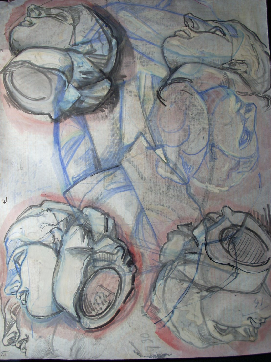 Teste di gesso femminili in nero e rosa, testa di donna (disegno) di Ciamarra Elena (sec. XX)