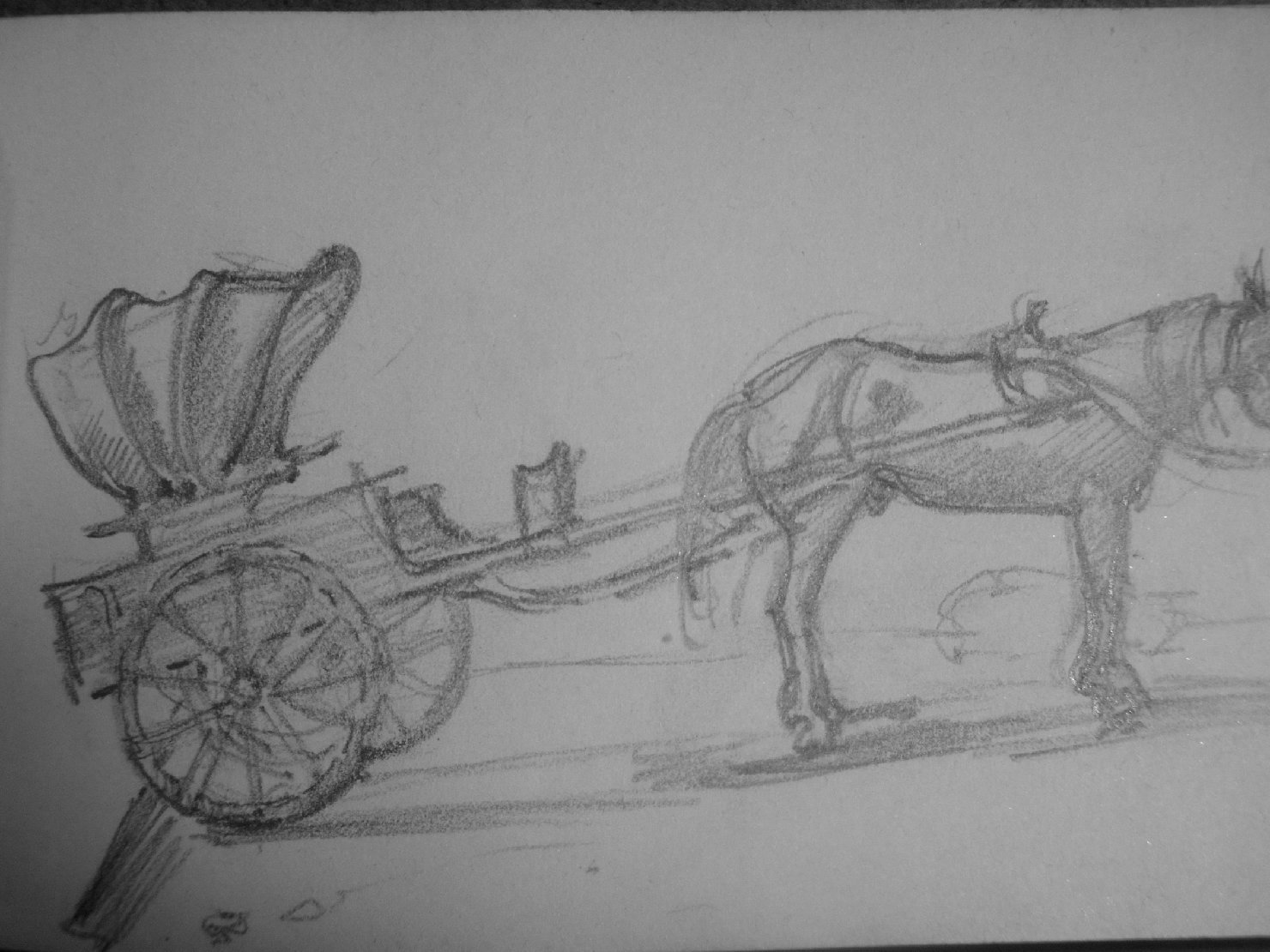 Schizzetto di calesse con cavallo, cavallo con calesse (disegno) di Ciamarra Elena (sec. XX)