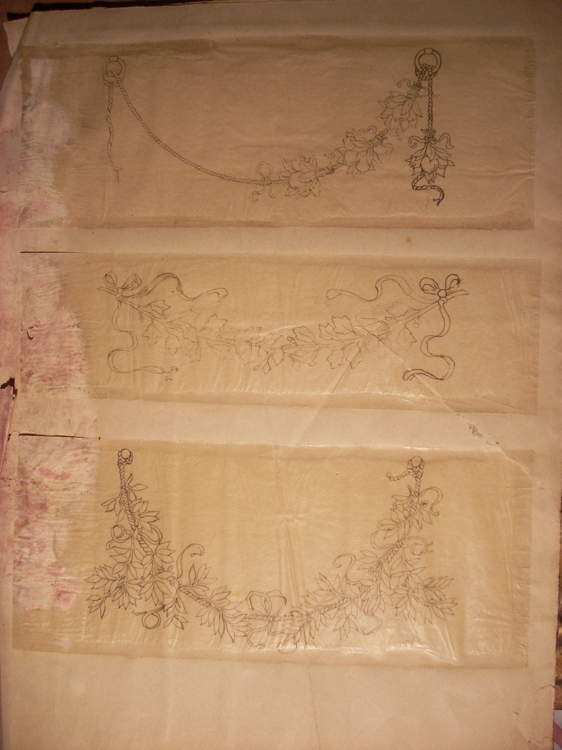 Studi di ghirlande decorative, ghirlande (disegno) di Ciamarra Elena (sec. XX)