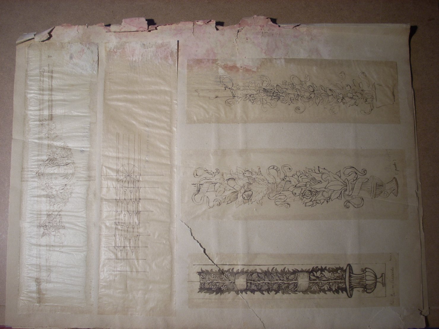 Studi di ghirlande decorative e stemmi, ghirlande e stemmi (disegno) di Ciamarra Elena (sec. XX)