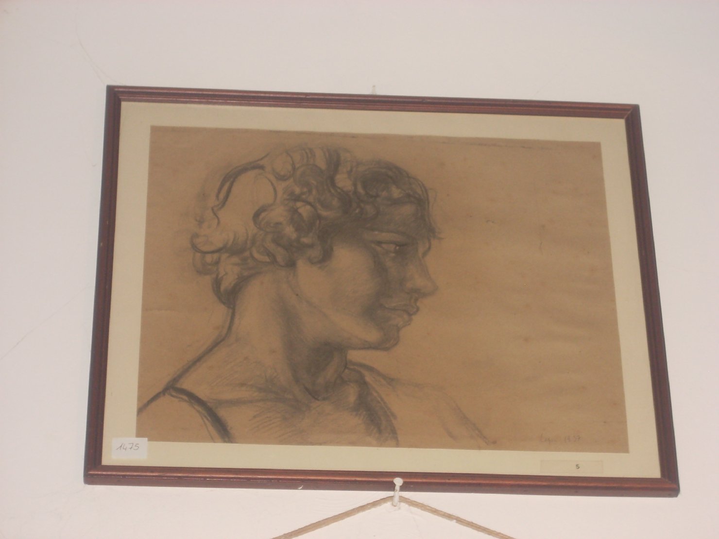Profilo di ragazza campana, ritratto di donna (disegno) di Ciamarra Elena (sec. XX)