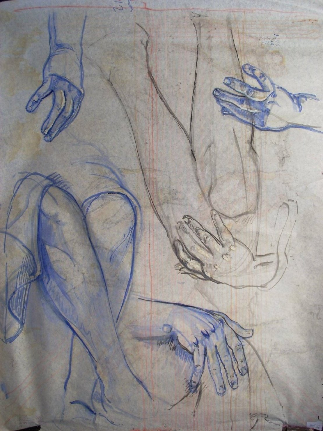 Quattro mani e due gambe, studio di mani e gambe (disegno) di Ciamarra Elena (sec. XX)