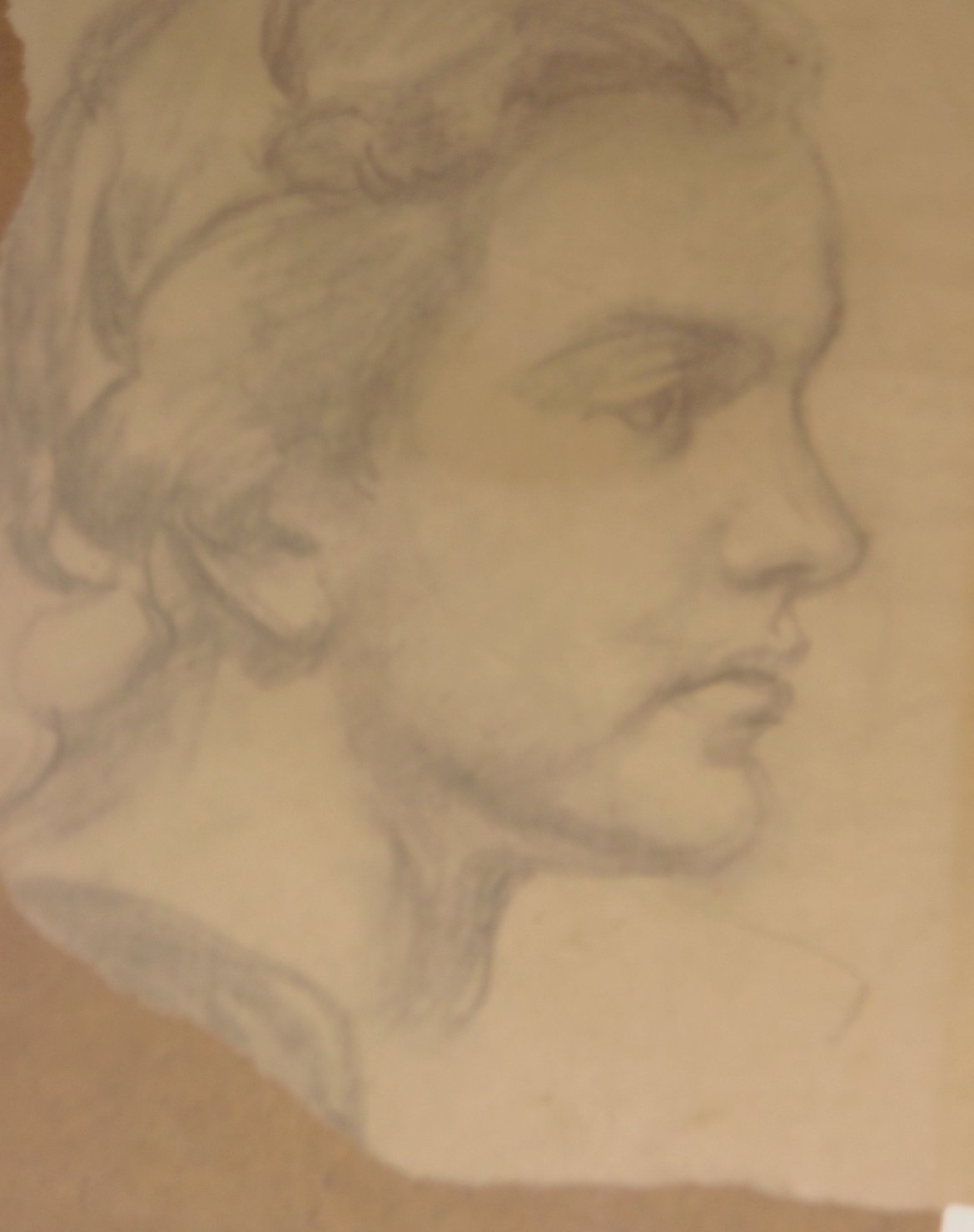 Piccolo profilo di Minna con capelli raccolti, bambina (disegno) di Ciamarra Elena (sec. XX)