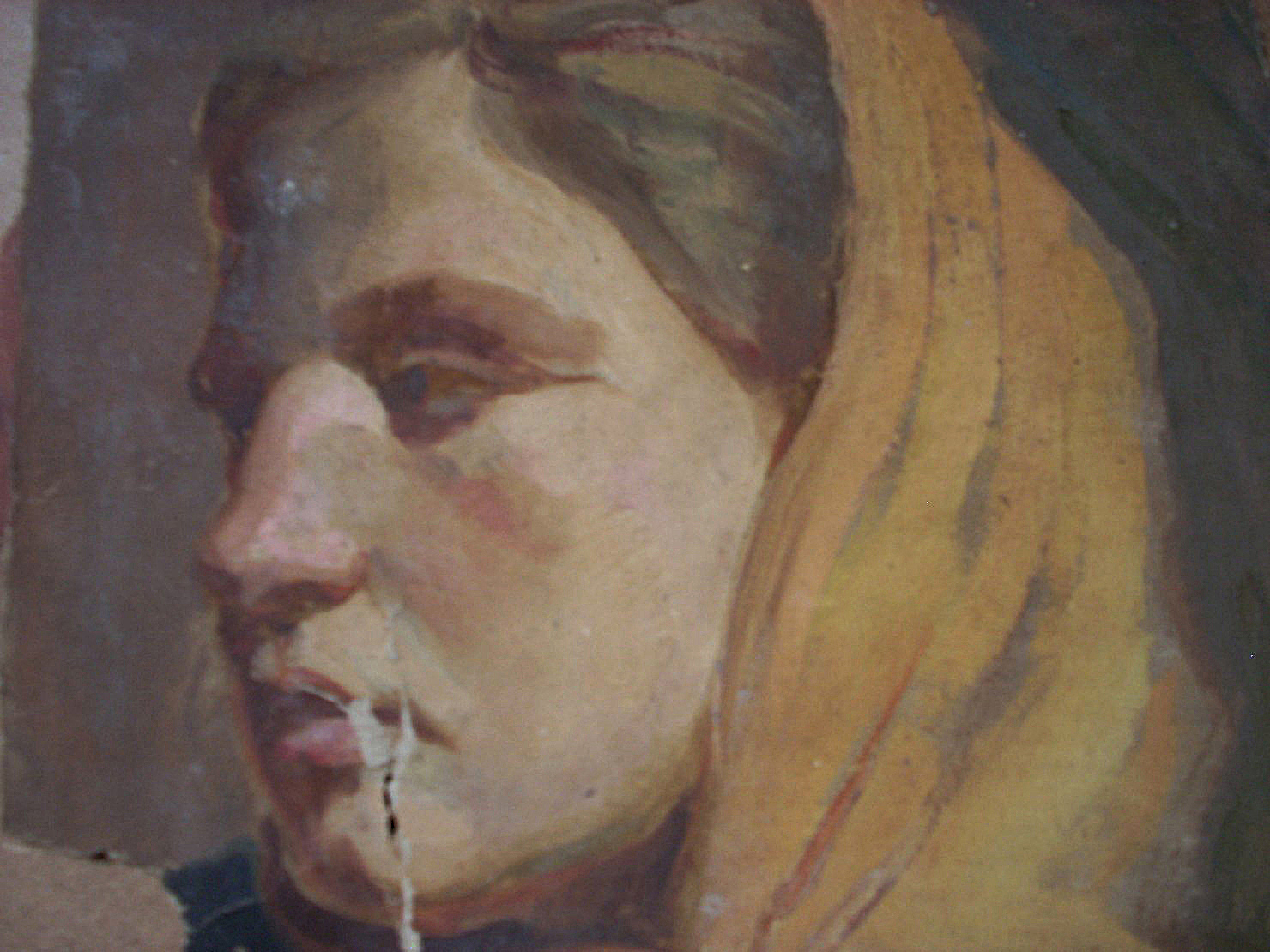 Profilo di contadina, ritratto di donna (dipinto) di Ciamarra Elena (sec. XX)