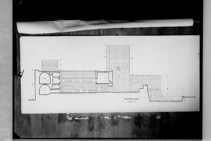 Disegno grafico su carta (negativo) di Anonimo (XX)