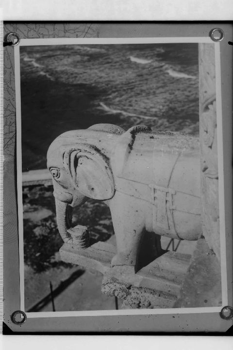 Trani (Ba), cattedrale: scultura su fianco esterno (negativo) di Anonimo (XX)