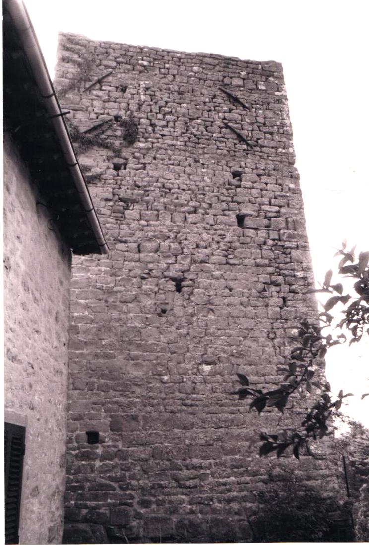 Torre di Serravalle (ARCHITETTURA MILITARE E FORTIFICATA, torre) - Bibbiena (AR) 