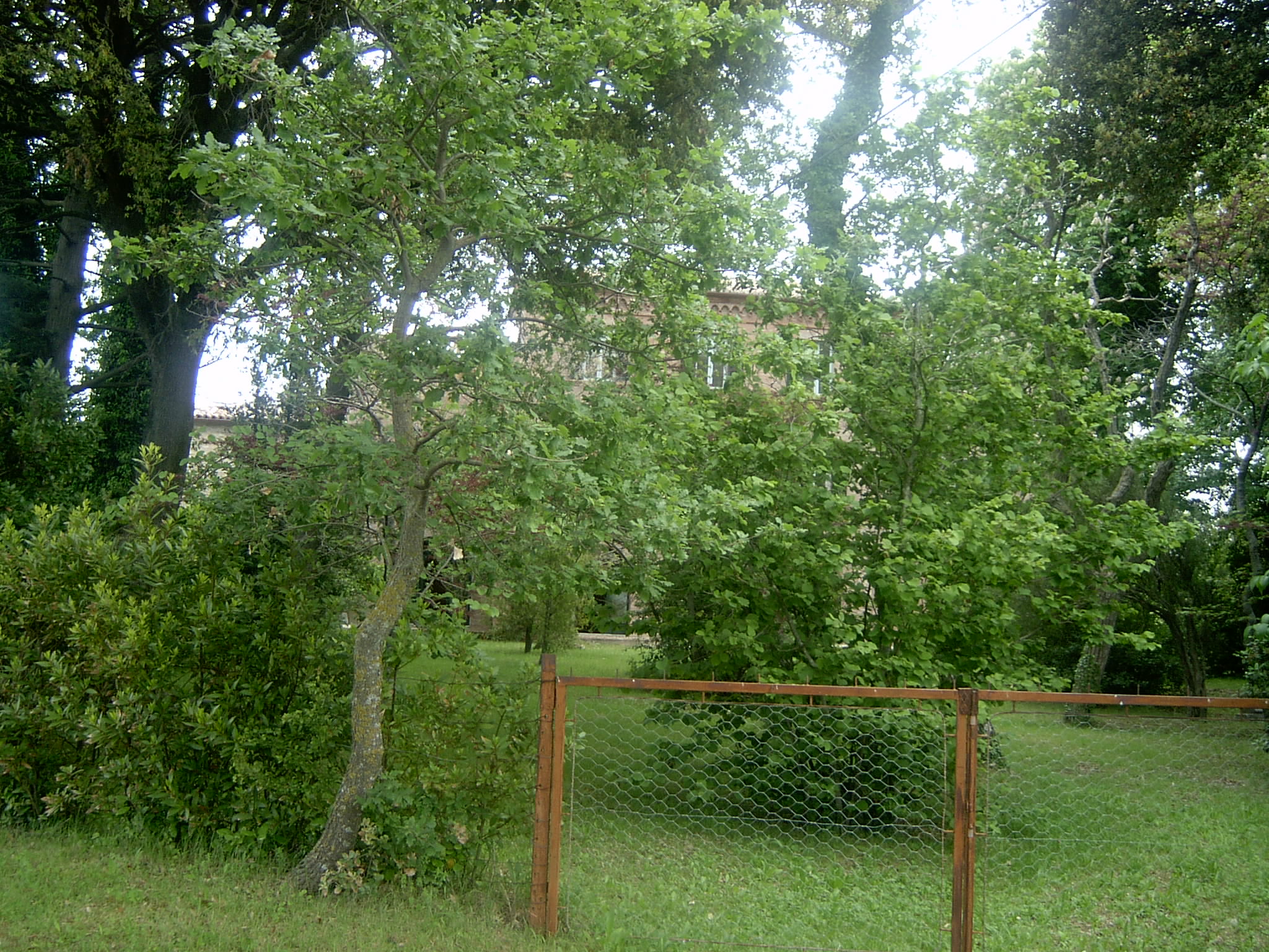 Villa Pierleoni (villa extraurbana) - Matelica (MC) 