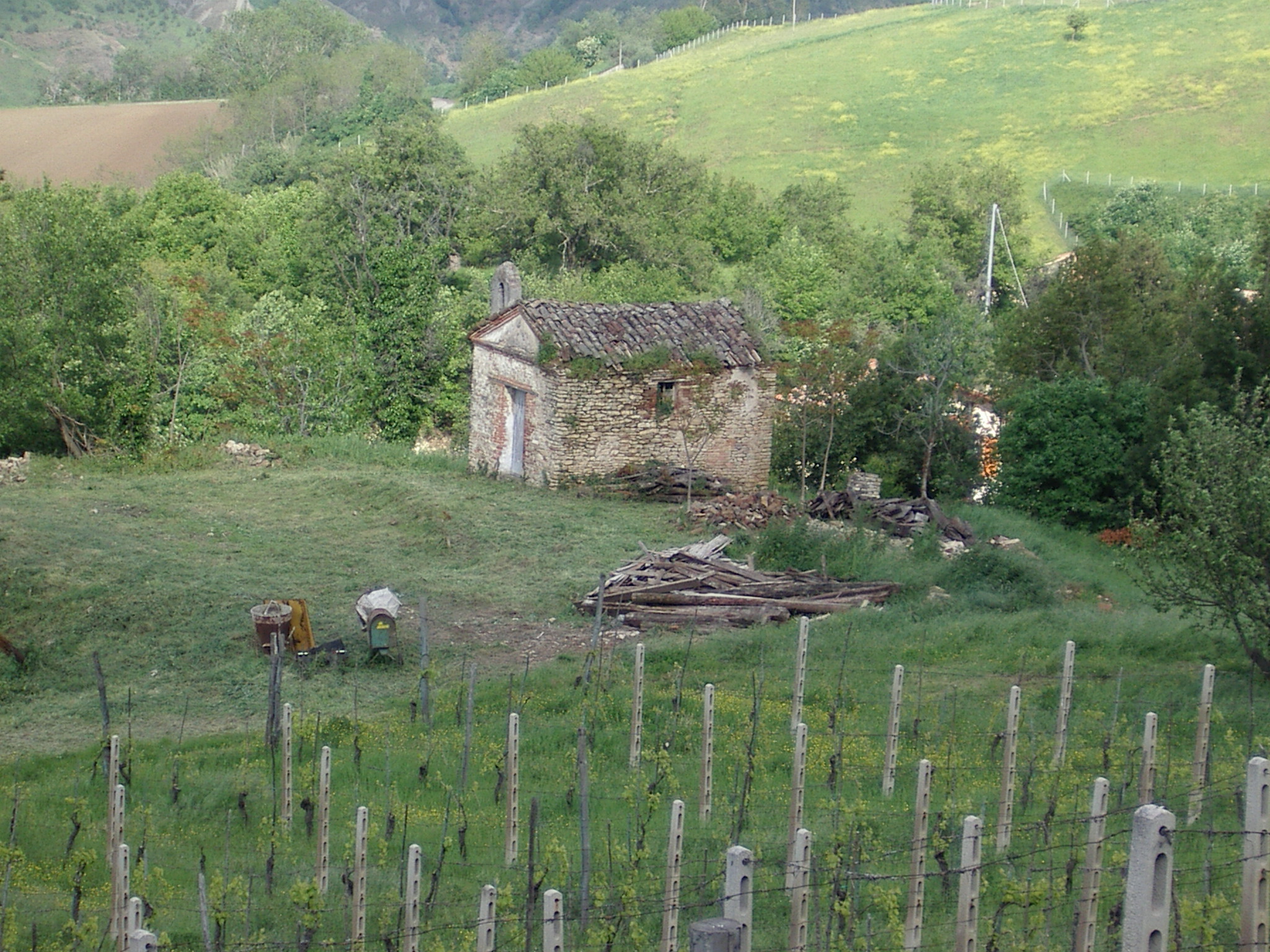 Cappella rurale (cappella, rurale) - Smerillo (AP) 