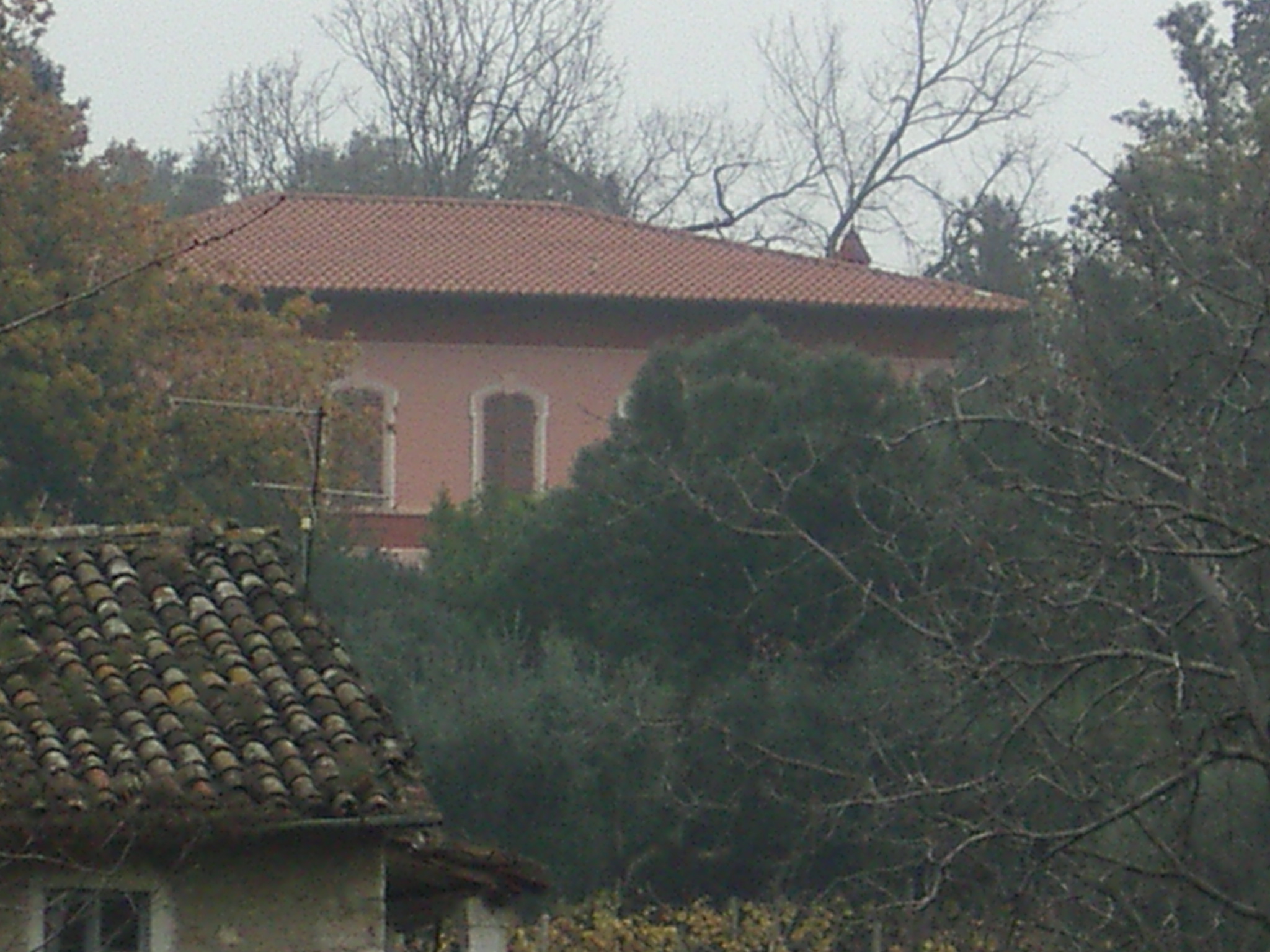 Villa Piccinini (villa suburbana) - Folignano (AP) 