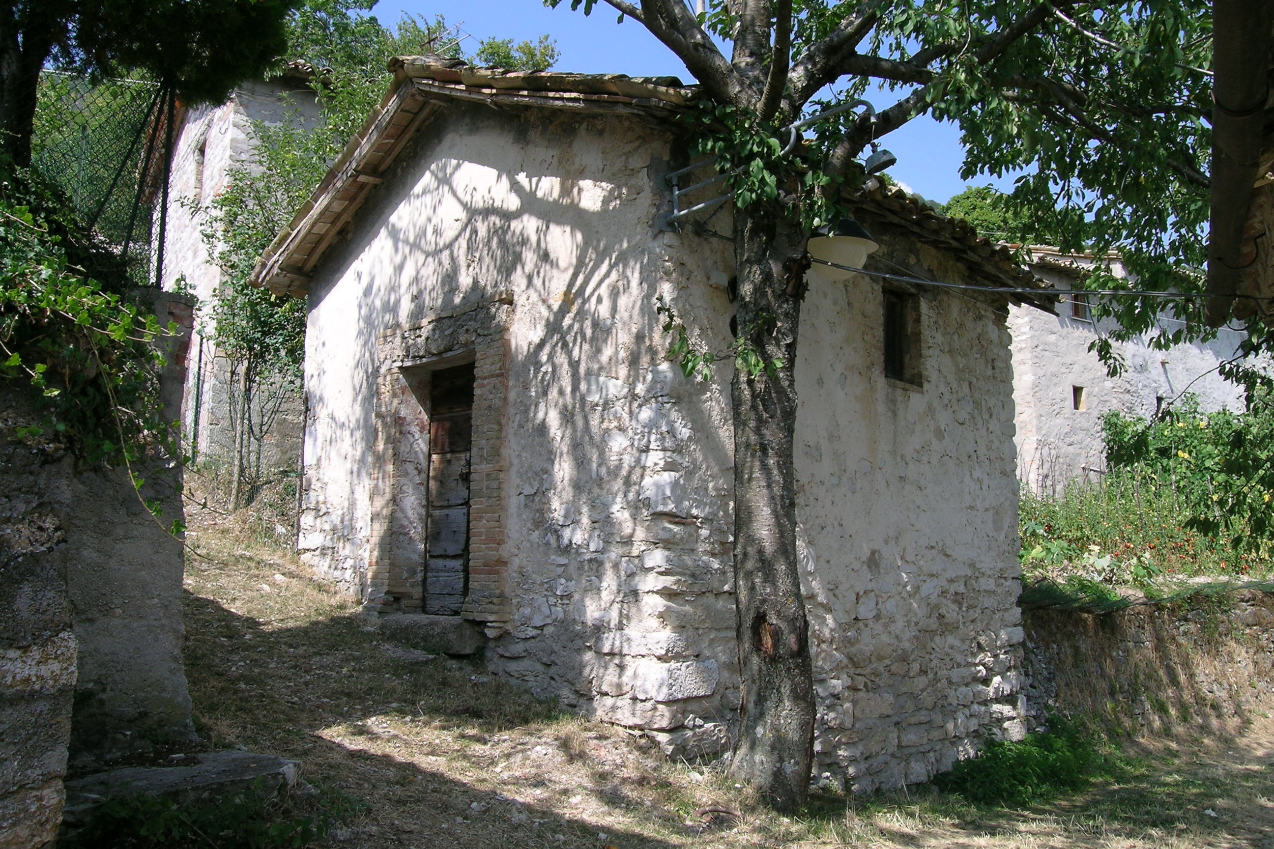 Chiesa di Nocecchia (chiesa, parrocchiale) - Pieve Torina (MC) 