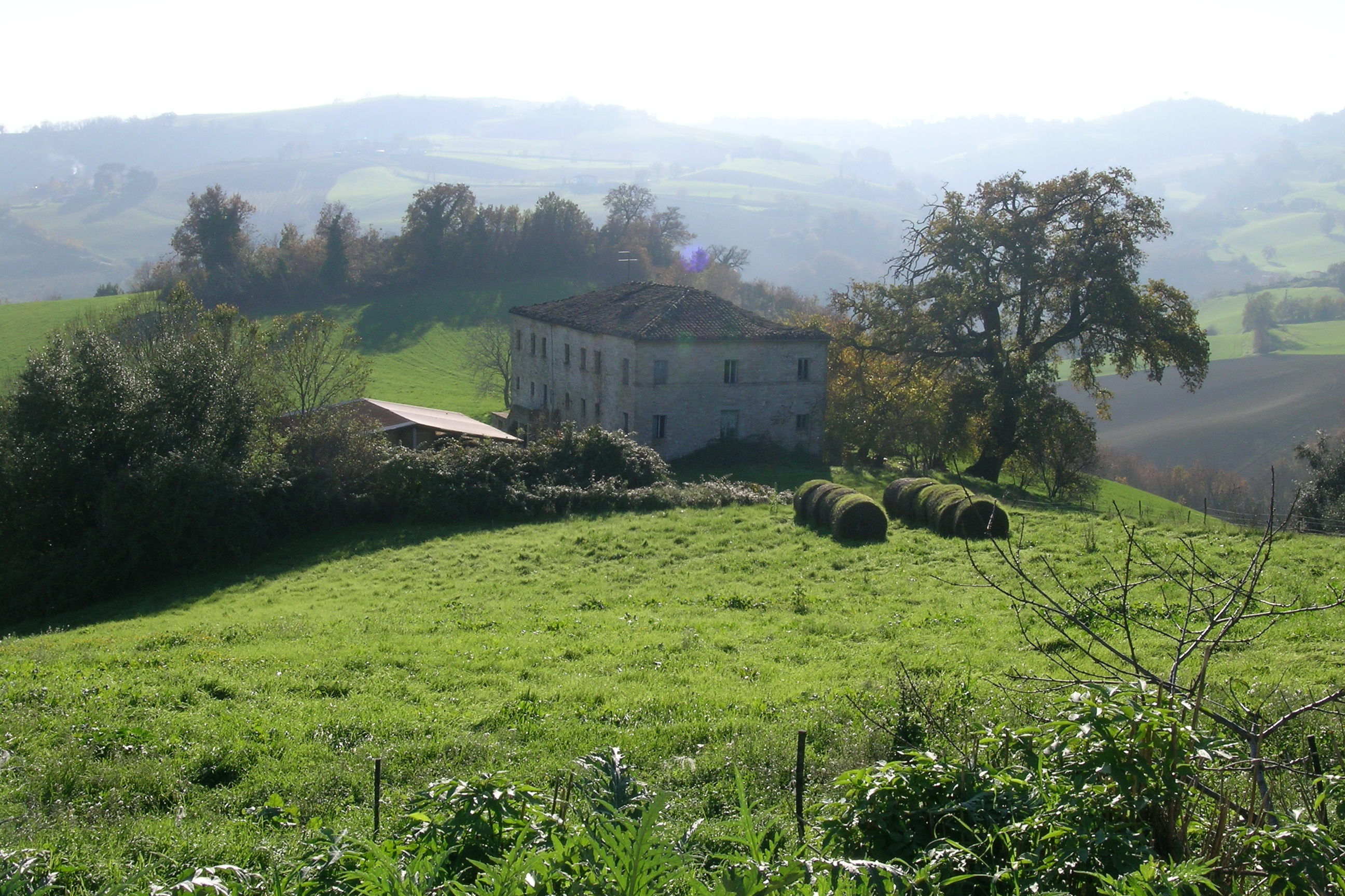 Casa colonica (casa colonica) - Monsampietro Morico (AP) 