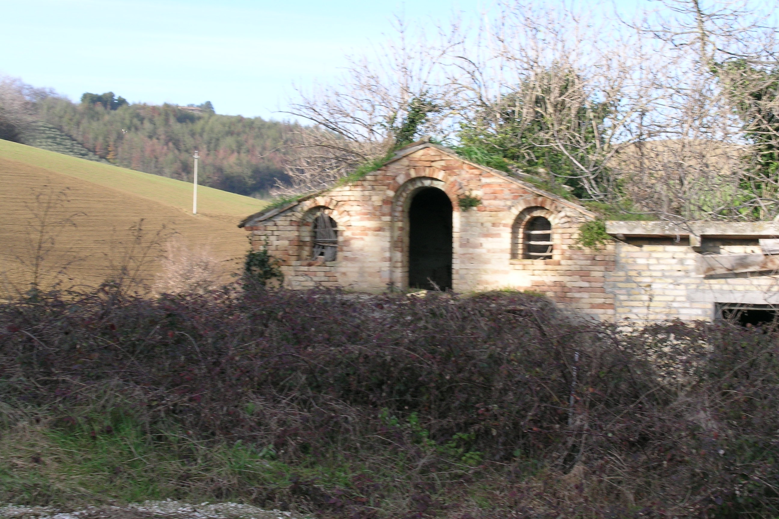 Annesso agricolo (annesso agricolo, edificio di servizio annesso alla residenza) - Ponzano di Fermo (AP) 