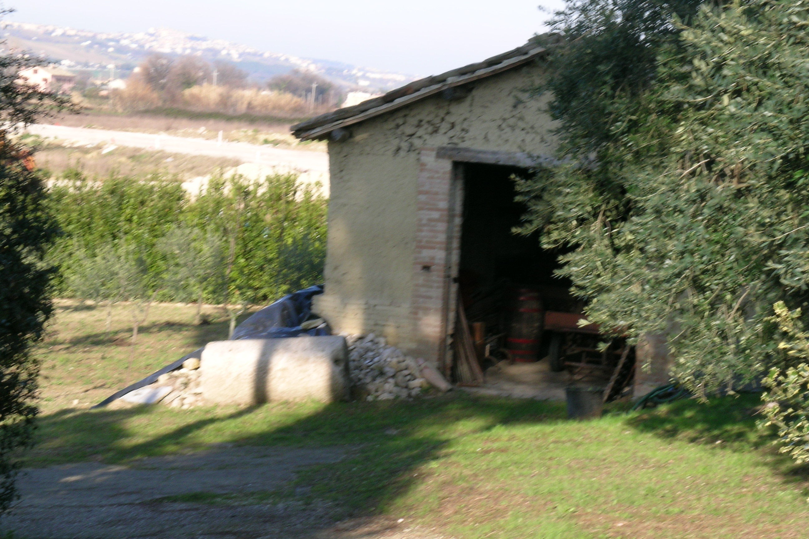 Casa colonica di terra (casa colonica di terra) - Ponzano di Fermo (AP) 