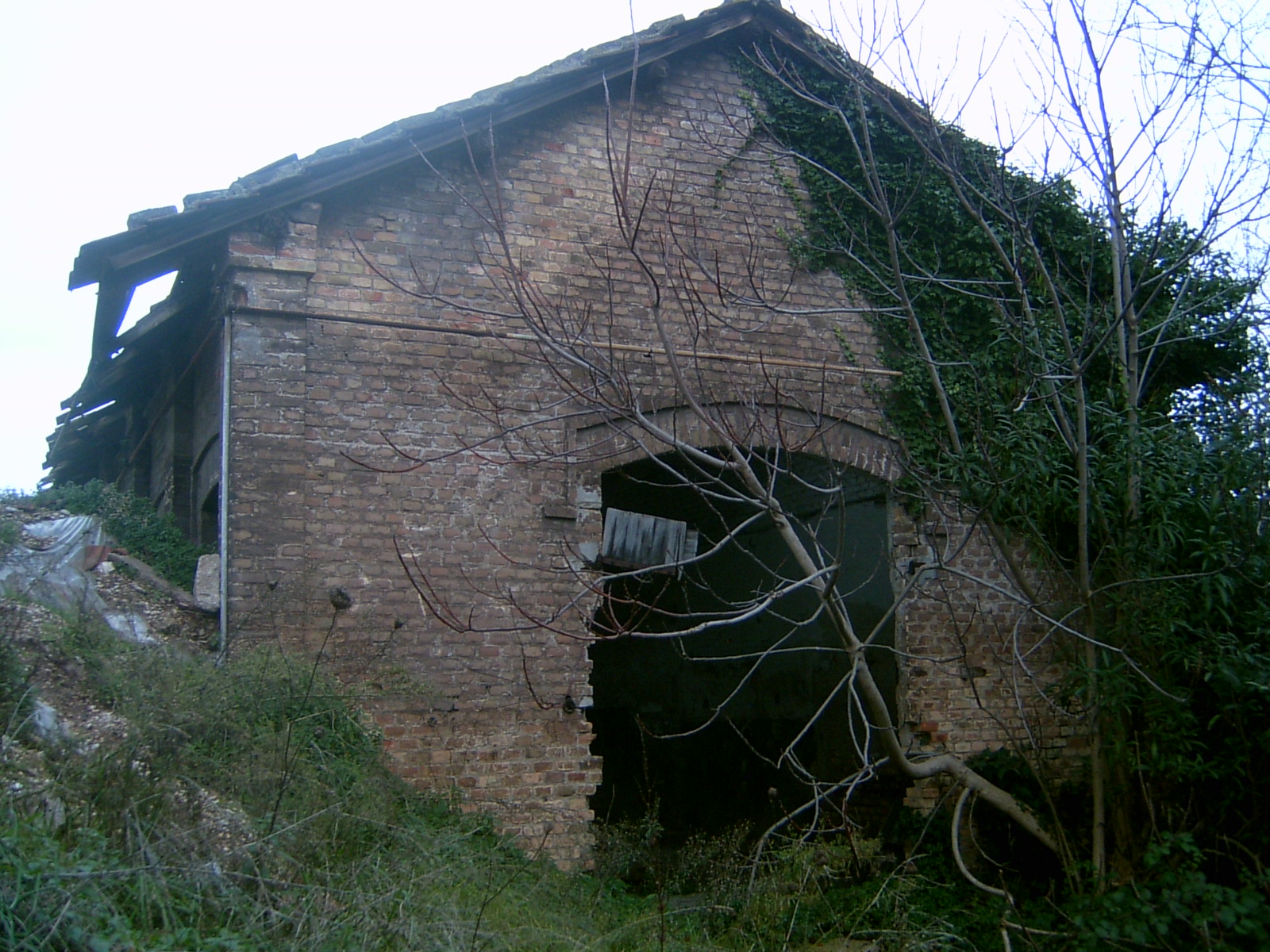 Capannone dell'Ex Stabilimento Montecatini (capannone) - Porto Sant`Elpidio (AP) 