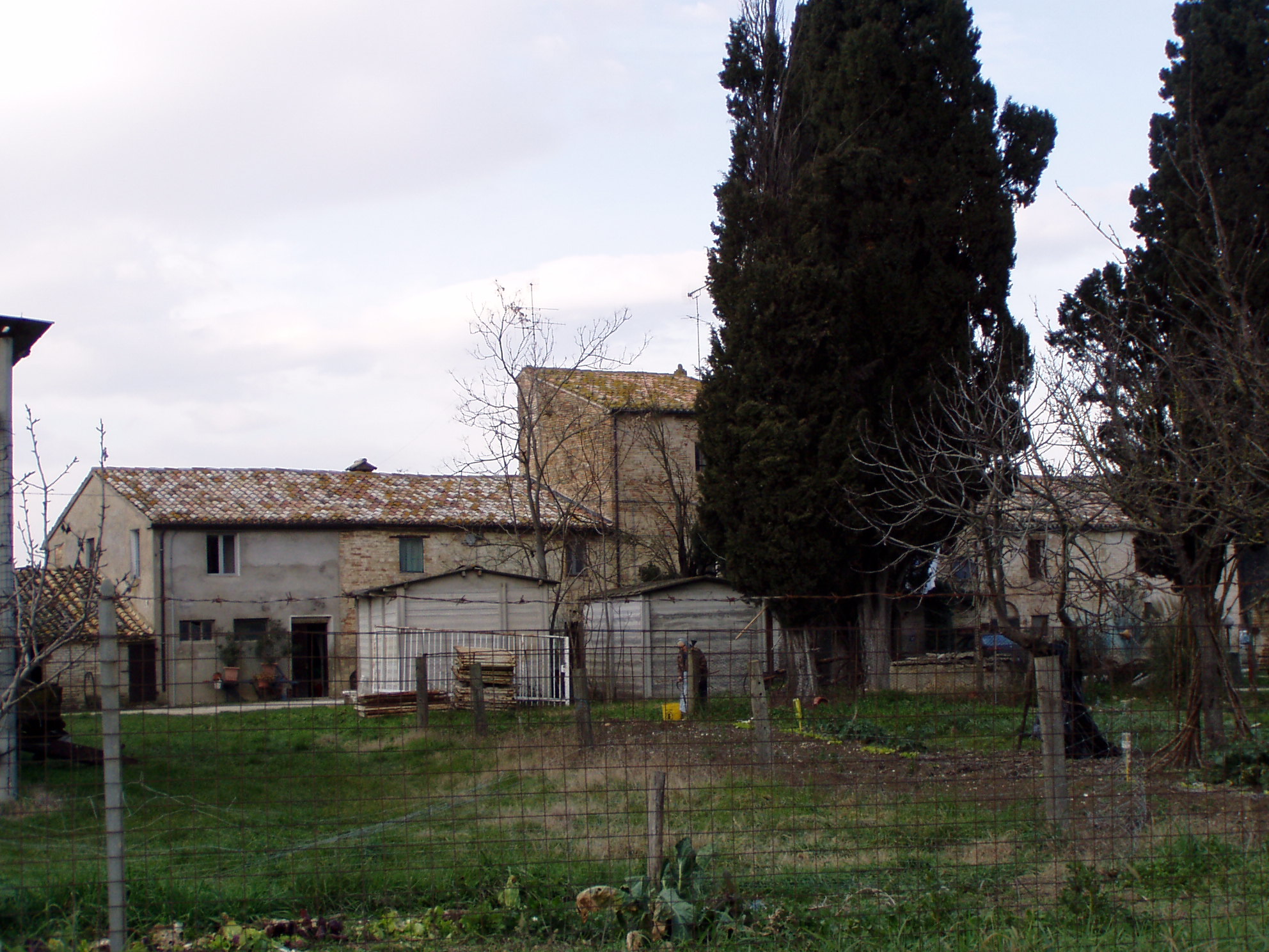 Casa colonica (casa colonica, marchigiana con scala interna) - Urbisaglia (MC) 