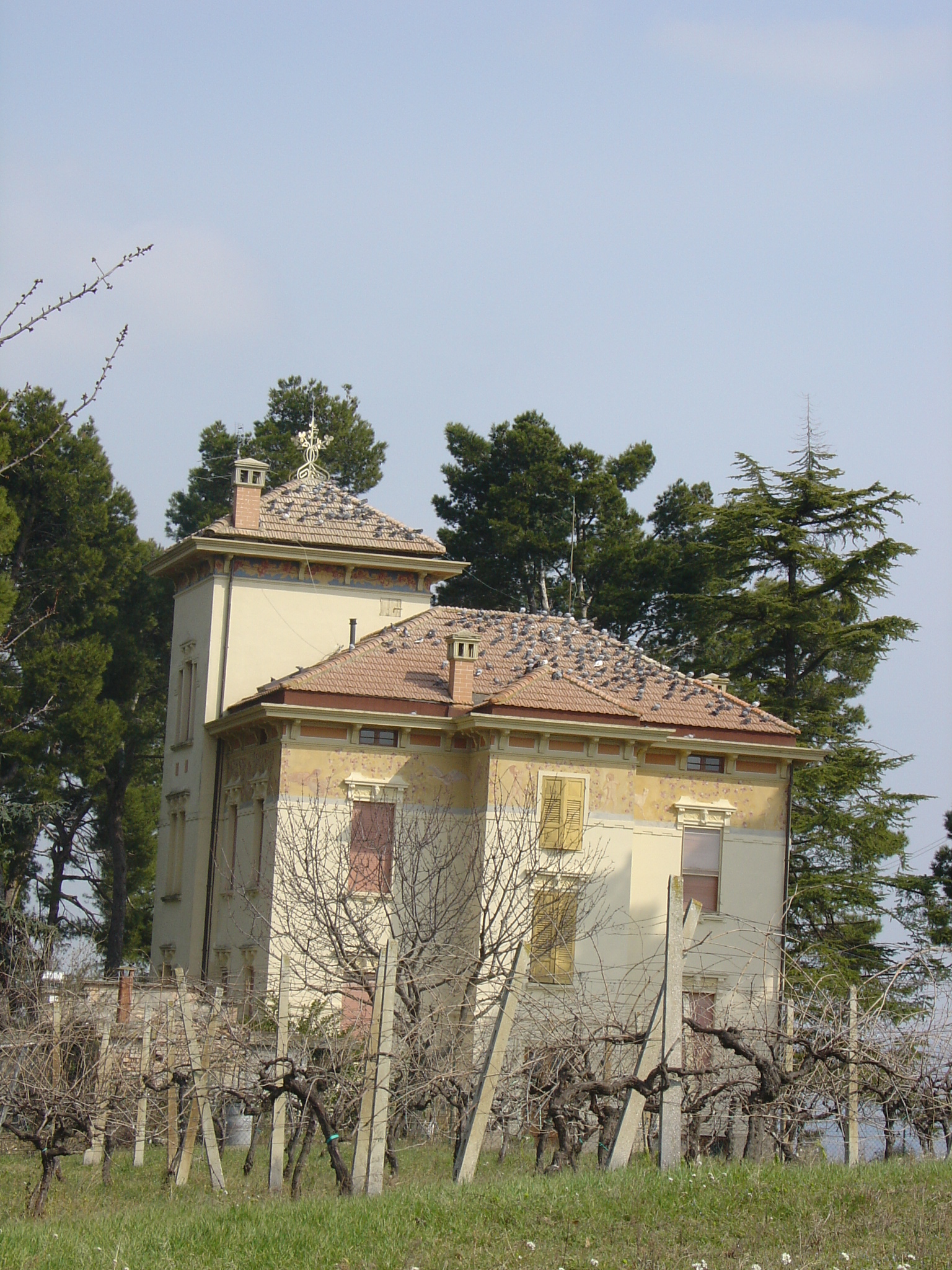 Villa Fazi (villa) - Ortezzano (AP) 