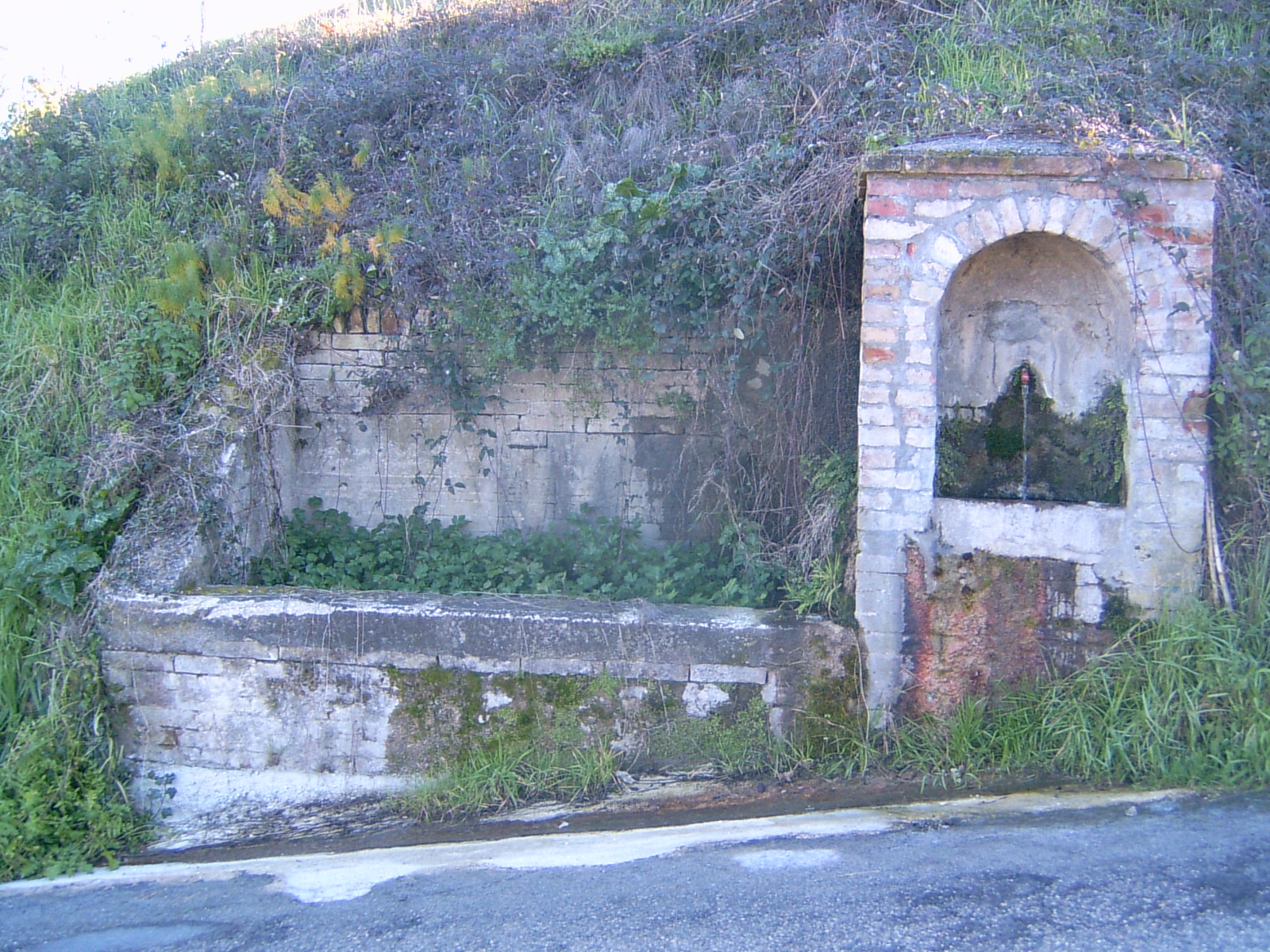 Fonte dei Cavalli (fonte) - Servigliano (AP) 