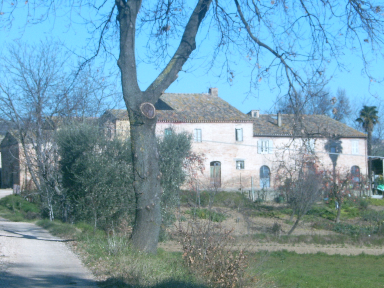 Villa Gallo (villa extraurbana, nobiliare) - Servigliano (AP) 