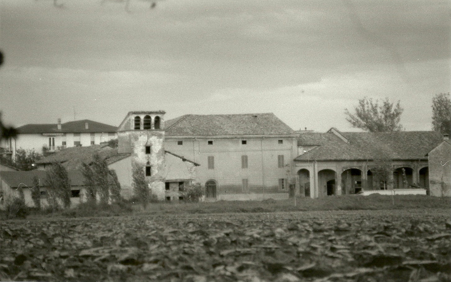 Corte agricola (corte) - Roccabianca (PR) 