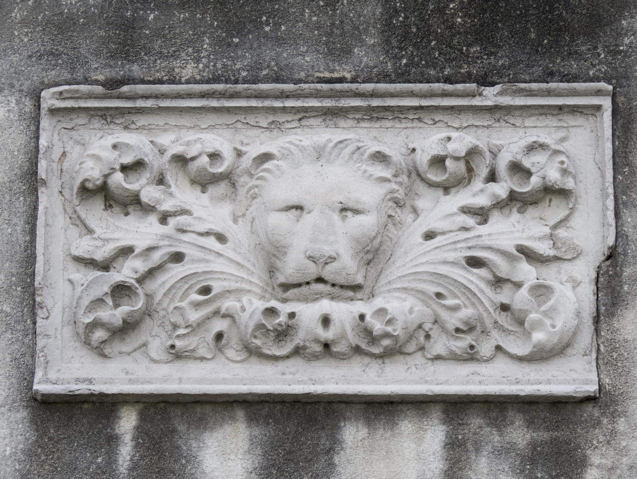 testa di leone, motivi decorativi vegetali (rilievo, opera isolata) - ambito veneziano (sec. XV)