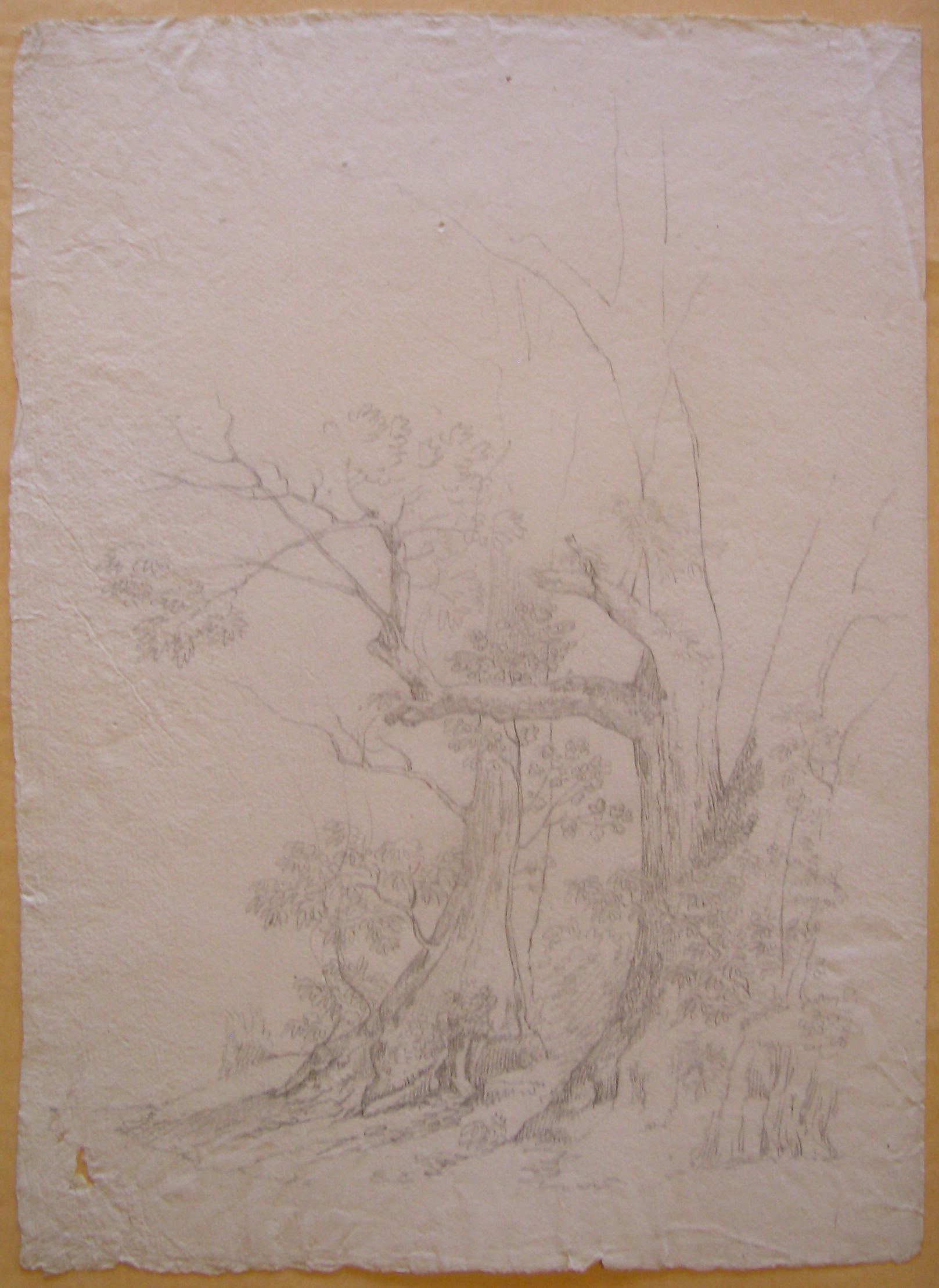 Veduta di paesaggio (recto), Alberi (verso) (disegno) di Nava Ambrogio (attribuito) (sec. XIX)
