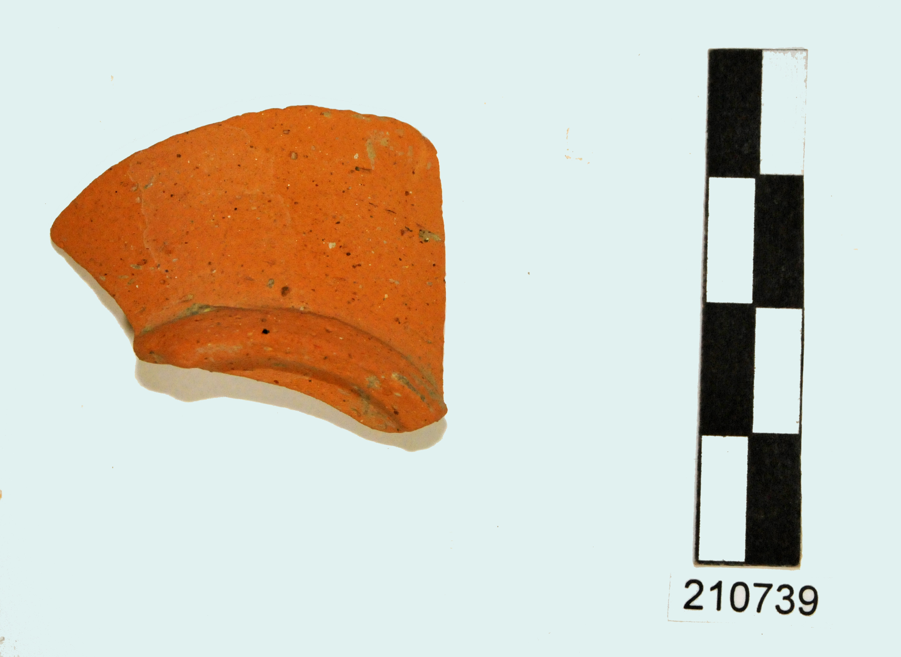 fondo, argilla arancione, abbastanza depurata, pochissimi inclusi (I d.C - II d.C)