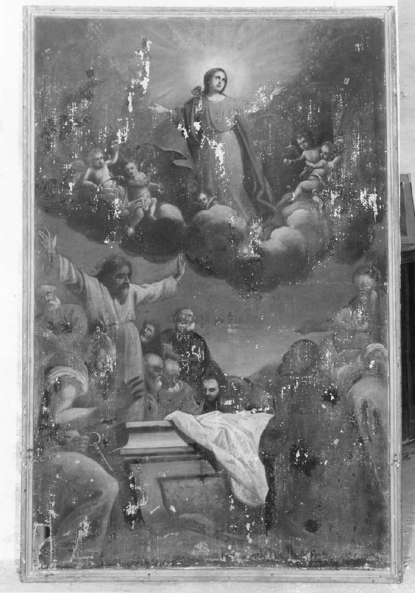 Madonna Assunta (dipinto) di Andreoli Giuseppe (terzo quarto sec. XVIII)