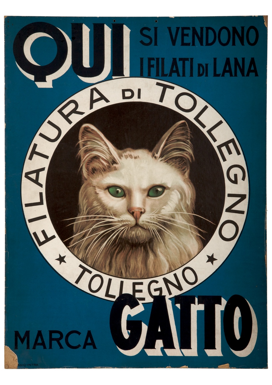 testa di gatto (locandina) - ambito italiano (sec. XX)