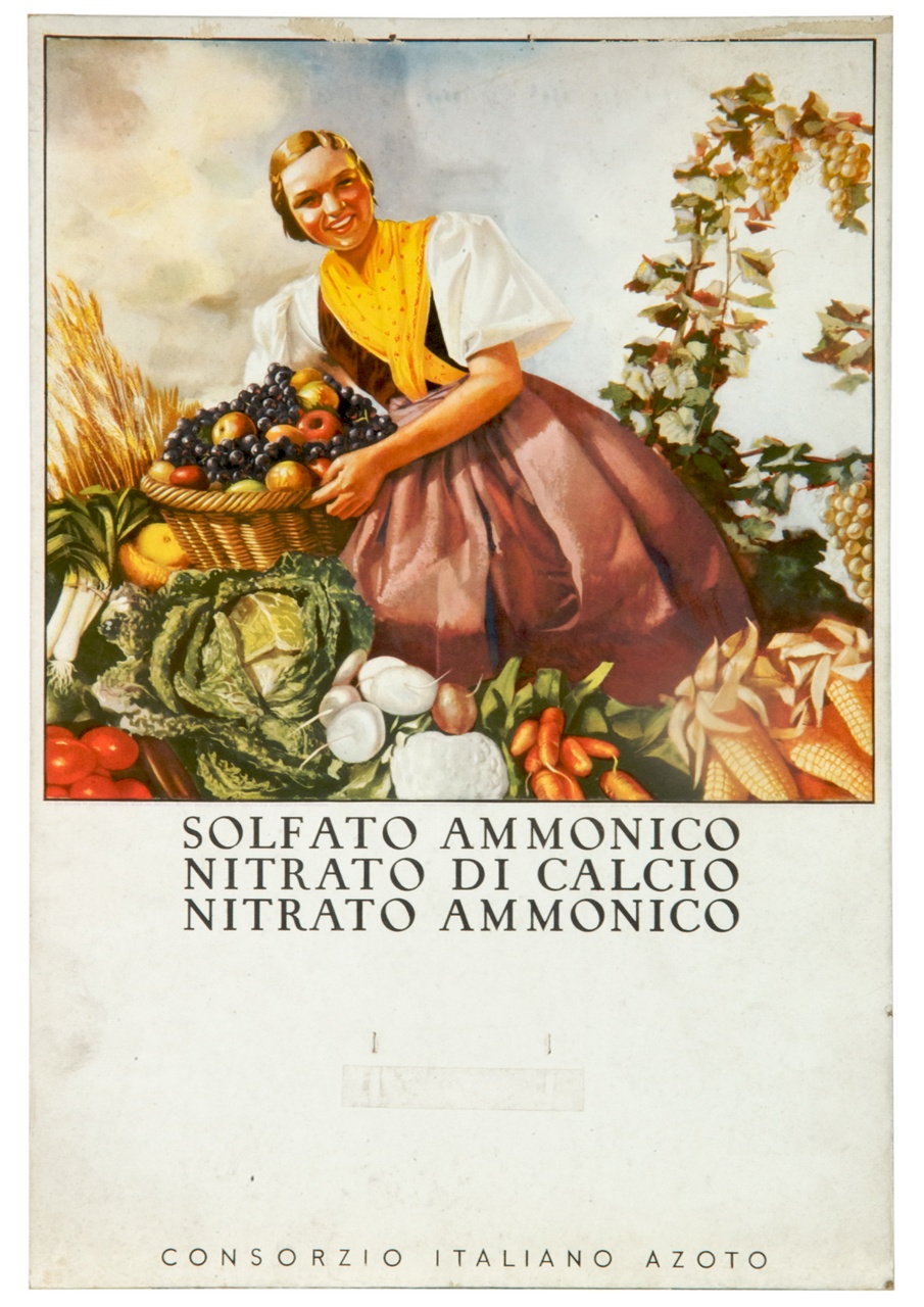 fanciulla che tiene una cesta di frutta tra ortaggi, spighe di grano e tralci di vite (calendario) - ambito italiano (sec. XX)